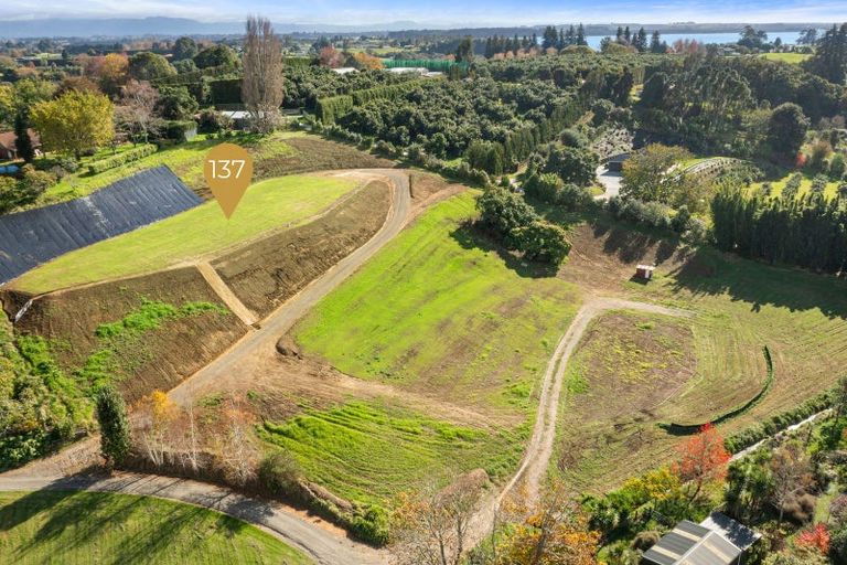 Photo of property in 137 Lochhead Road, Te Puna, Tauranga, 3176