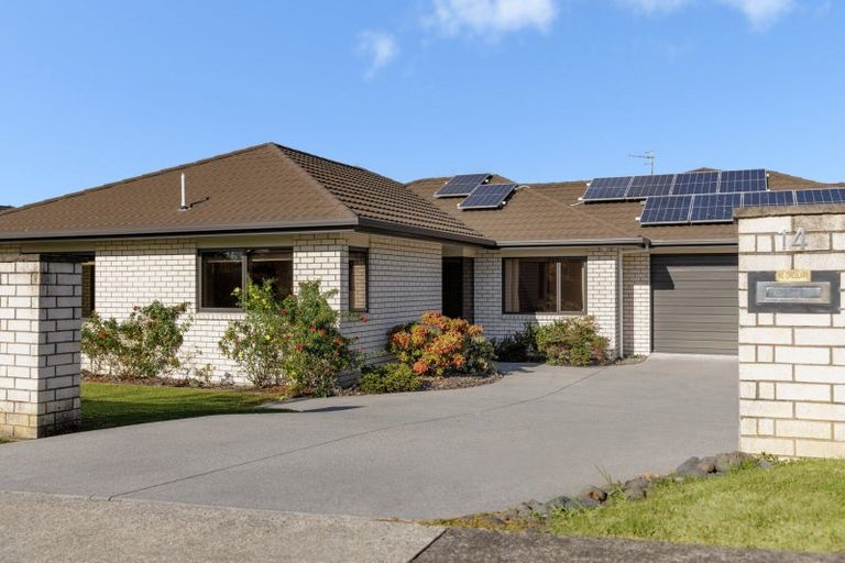 Photo of property in 14 Merlot Drive, Pyes Pa, Tauranga, 3112