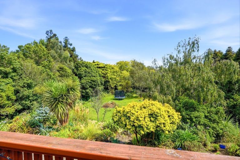 Photo of property in 59c Wakeman Street, Pahiatua, 4910