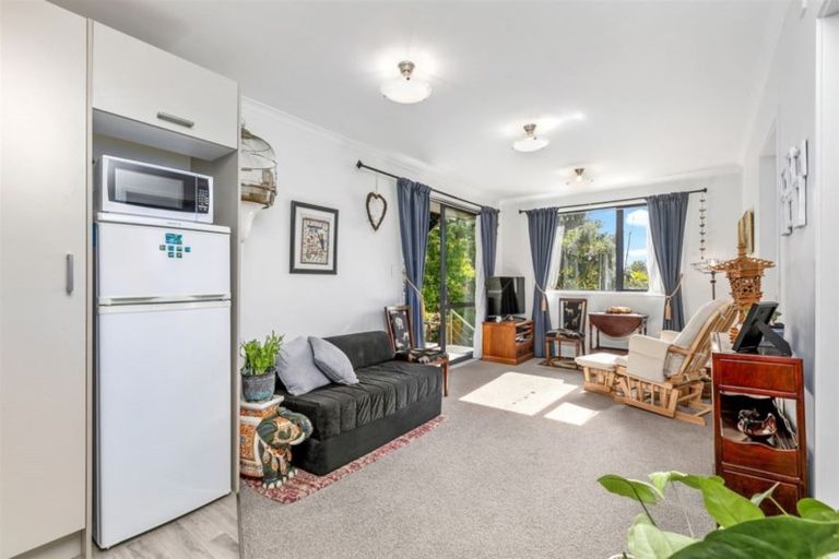 Photo of property in 33 Coopers Road, Gate Pa, Tauranga, 3112