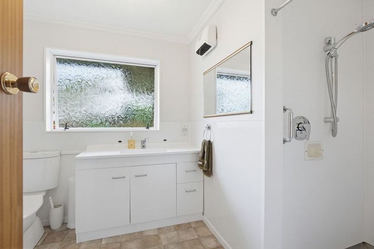 Photo of property in 45 Dittmer Drive, Awapuni, Palmerston North, 4412
