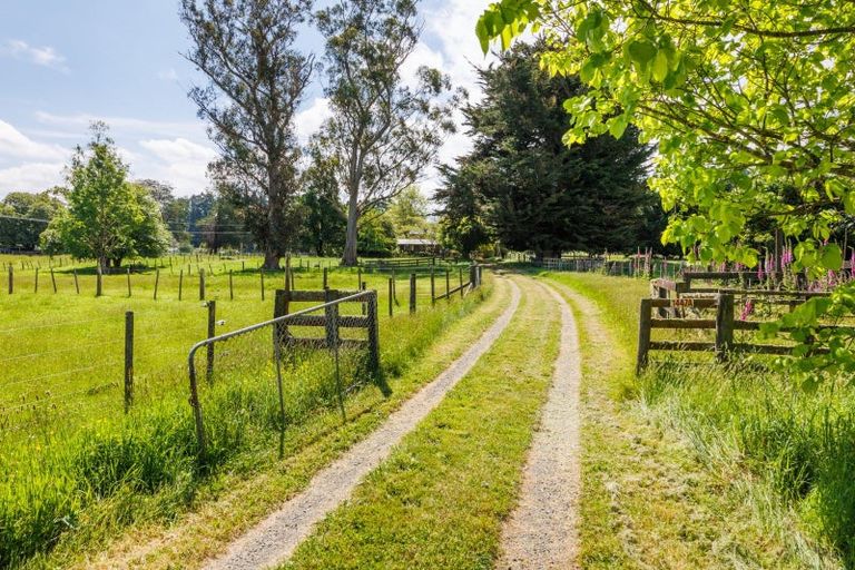 Photo of property in 1447a Pohangina Road, Pohangina, Ashhurst, 4884