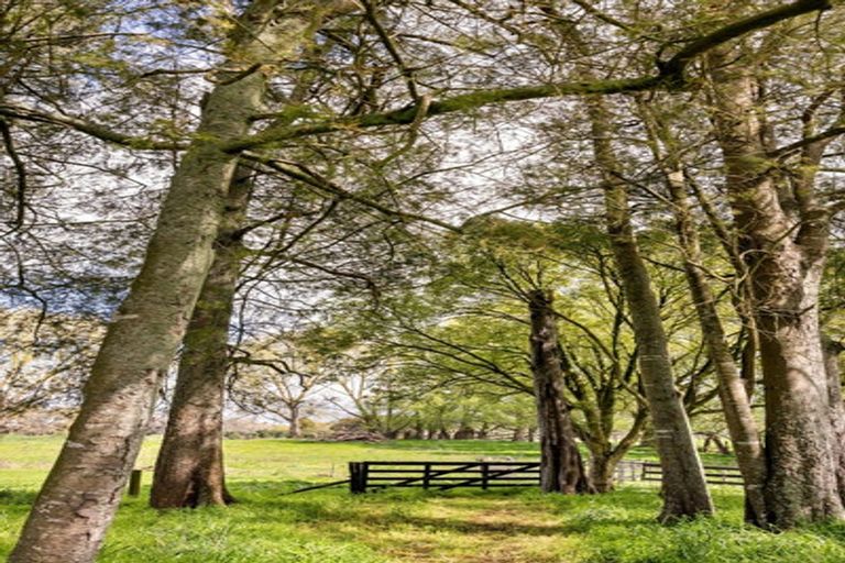 Photo of property in 261 Sainsbury Road, Puketaha, Hamilton, 3281