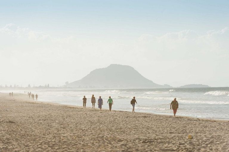 Photo of property in 3 Commons Avenue, Mount Maunganui, 3116