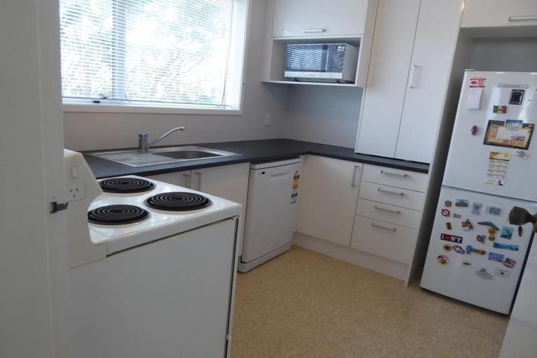 Photo of property in 175f1 Mitchell Street, Brooklyn, Wellington, 6021