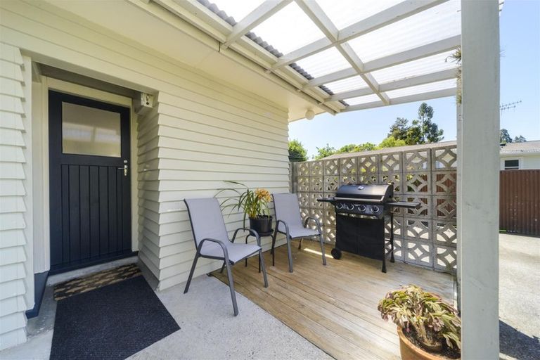 Photo of property in 17 Skerman Street, Marton, 4710