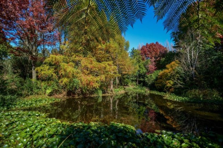 Photo of property in 582 Old Coach Road, Te Pohue, Napier, 4182