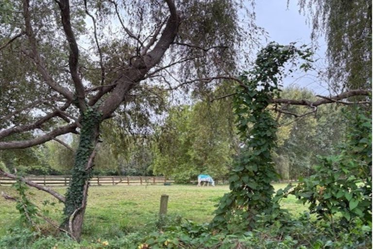 Photo of property in 69 Tieko Street, Otaihanga, Paraparaumu, 5036