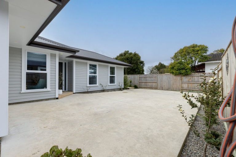 Photo of property in 53b Argyle Avenue, Takaro, Palmerston North, 4410