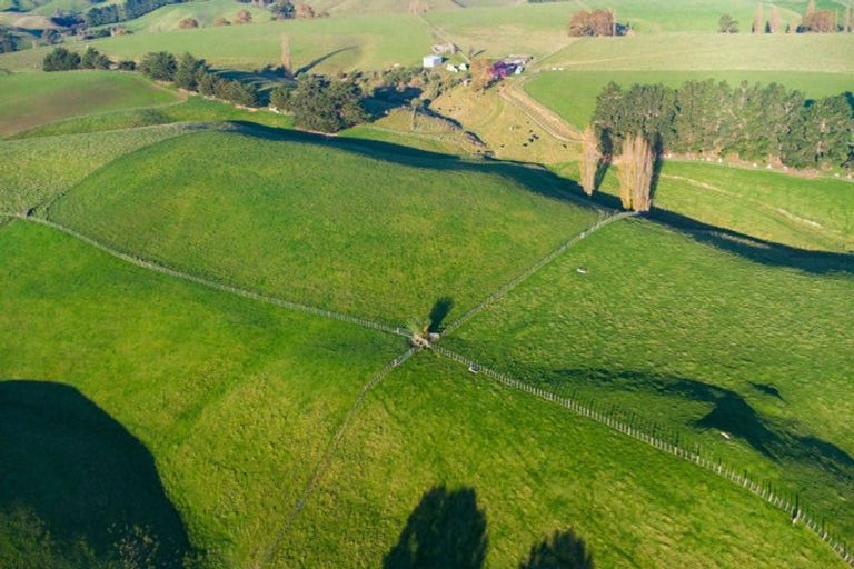 Photo of property in 180 Tipapakuku Road, Dannevirke, 4930