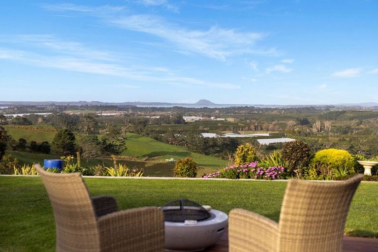 Photo of property in 265 Hot Springs Road, Tahawai, Katikati, 3178