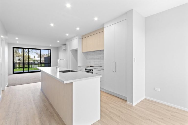 Photo of property in 65 Musselwhite Terrace, Chartwell, 3210