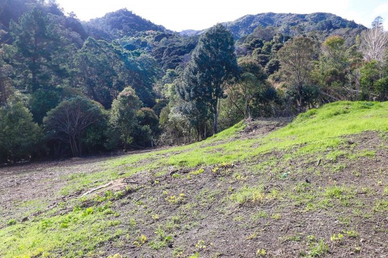 Photo of property in 104a Irishtown Road, Thames, 3500