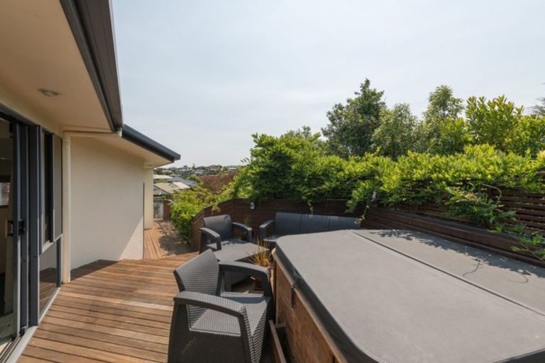 Photo of property in 13 Idesia Grove, Richmond, 7020