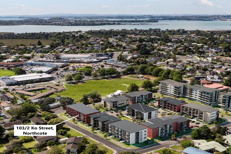 Photo of property in 25 Potter Avenue, Northcote, Auckland, 0627