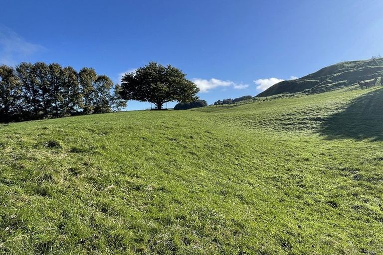 Photo of property in 80b Mangaotaki Road, Piopio, 3971