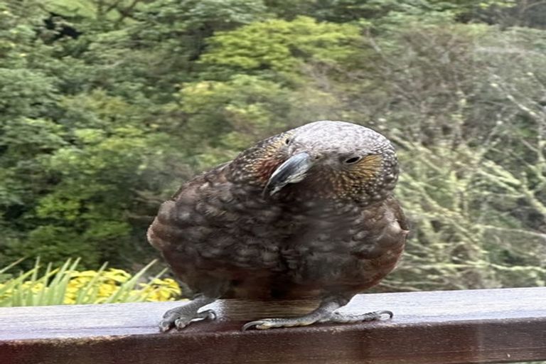 Photo of property in 1 Bank Road, Northland, Wellington, 6012