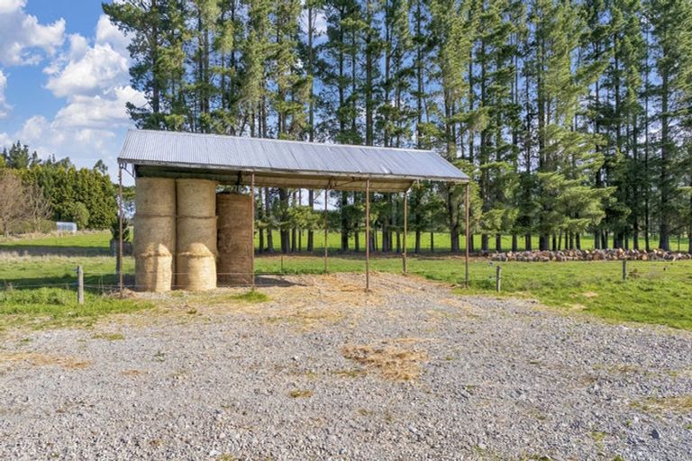 Photo of property in 185 Worlingham Road, Eyrewell, Rangiora, 7476
