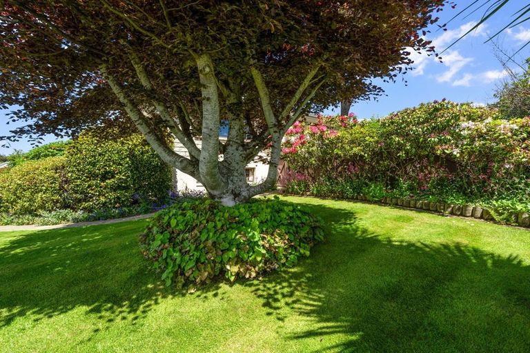 Photo of property in 8 Orkney Street, Waikiwi, Invercargill, 9810