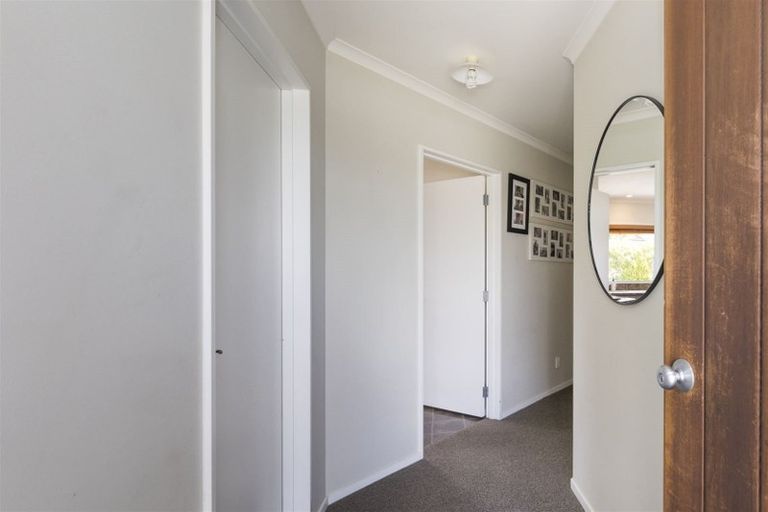 Photo of property in 62 Fraser Drive, Feilding, 4702