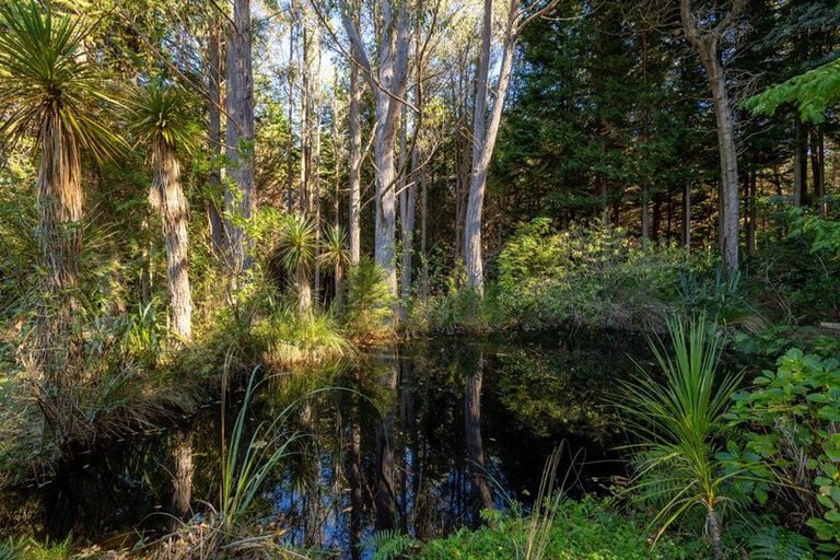 Photo of property in 22 Herring Stream Road, Motueka Valley, Motueka, 7196