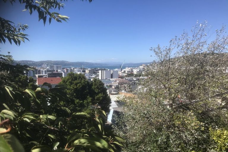 Photo of property in 59 Hankey Street, Mount Cook, Wellington, 6011