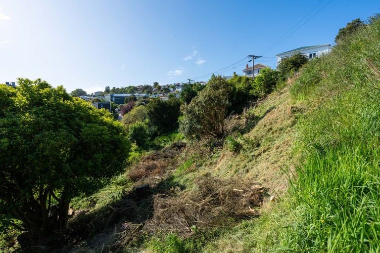 Photo of property in 16 Aitken Place, Mornington, Dunedin, 9011