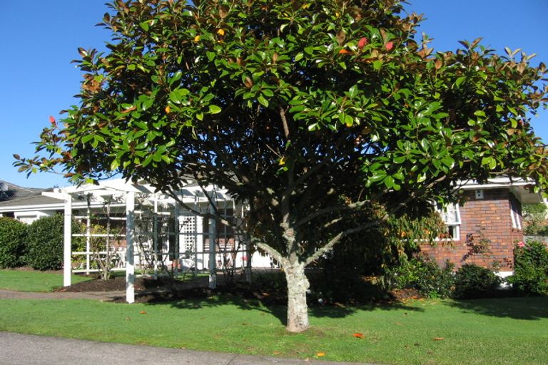 Photo of property in 49 Landing Drive, Albany, Auckland, 0632