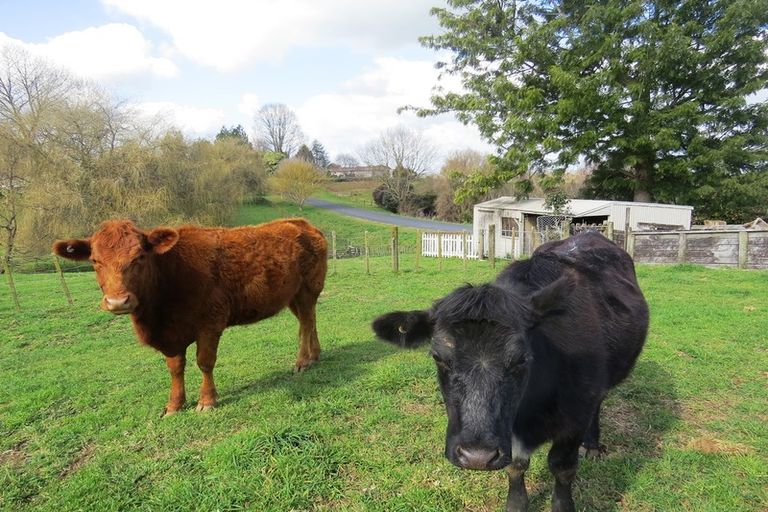 Photo of property in 24 Sheehan Street, Kihikihi, Te Awamutu, 3800