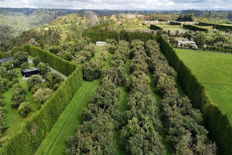 Photo of property in 559b Belk Road, Omanawa, Tauranga, 3171
