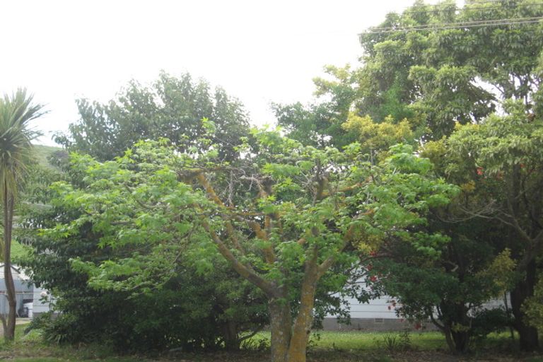 Photo of property in 65 Lyell Road, Outer Kaiti, Gisborne, 4010