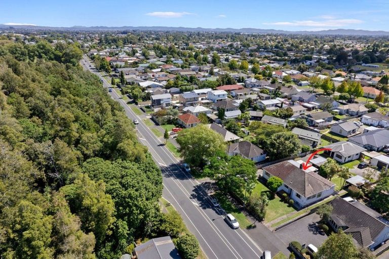 Photo of property in 119 Boundary Road, Claudelands, Hamilton, 3214