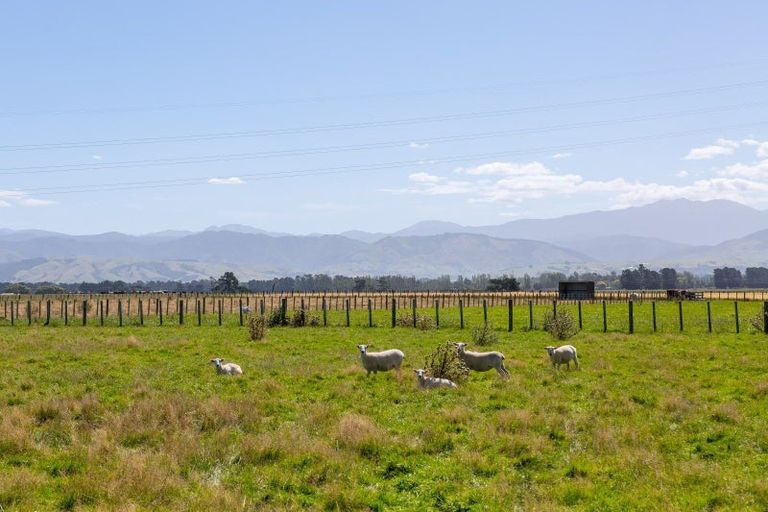 Photo of property in 445 Perrys Road, East Taratahi, Carterton, 5887
