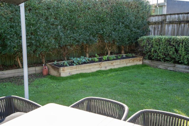 Photo of property in 3 Alfred Back Place, Cambridge, 3434