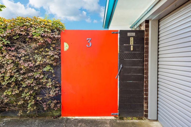 Photo of property in 3 Revell Court, Pukekohe, 2120