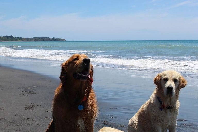 Photo of property in 25-27 Onaero Beach Road, Onaero, Waitara, 4383