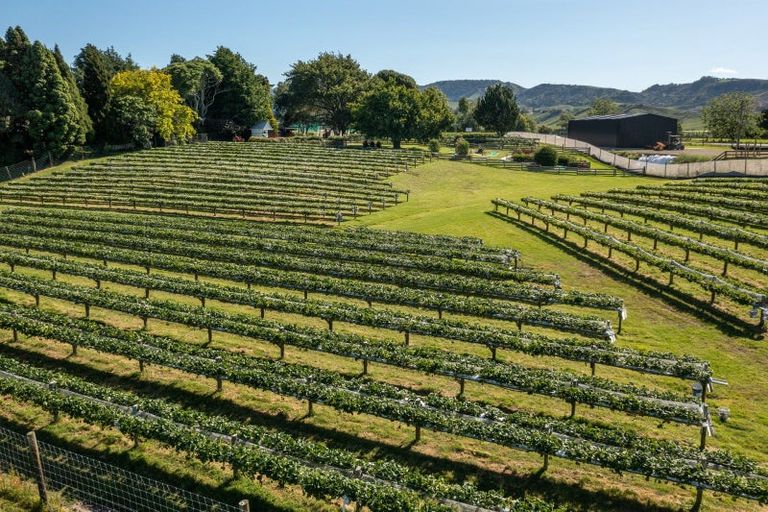 Photo of property in 529b Te Puke Highway, Te Puke, 3187