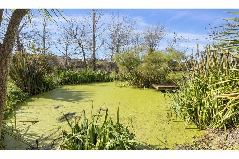 Photo of property in 188 Hepburn Creek Road, Warkworth, 0981