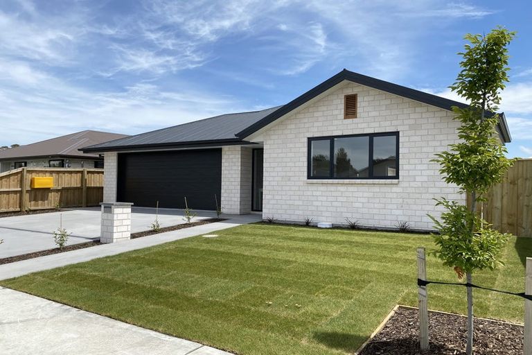 Photo of property in 20 Grimwood Street, Woodend, 7610