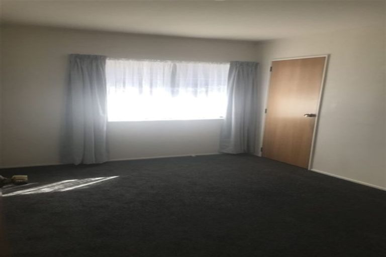 Photo of property in 71a Campbell Road, Mount Maunganui, 3116