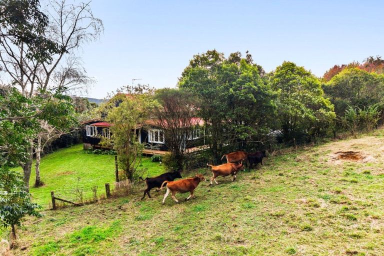 Photo of property in 1/24 Clothier Road, Karamu, Hamilton, 3285