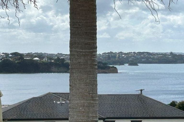 Photo of property in 17 Rothesay Bay Road, Rothesay Bay, Auckland, 0630