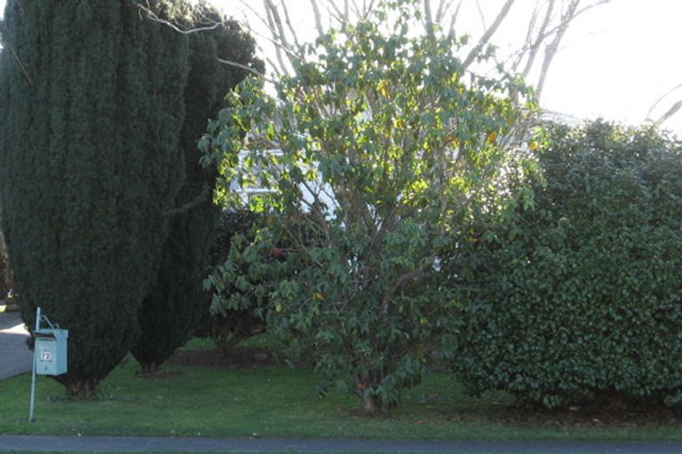 Photo of property in 72 Snell Drive, Chartwell, Hamilton, 3210