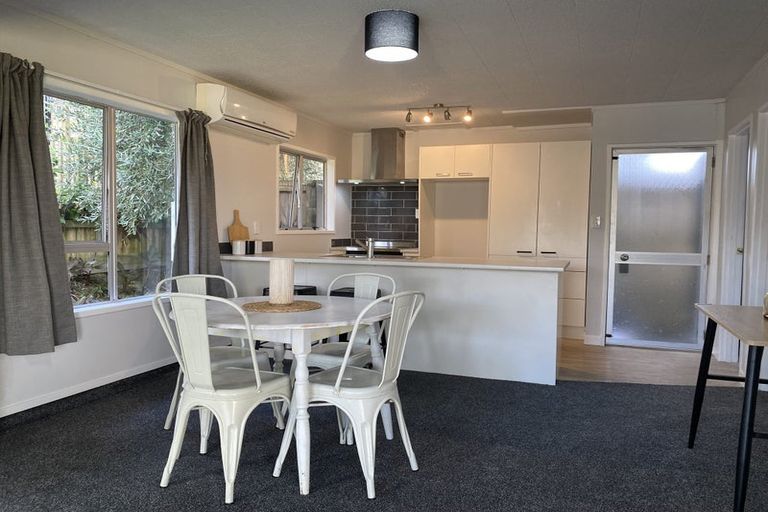 Photo of property in 48b Cook Street, Hamilton East, Hamilton, 3216