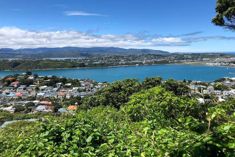 Photo of property in 17c Marewa Road, Hataitai, Wellington, 6021