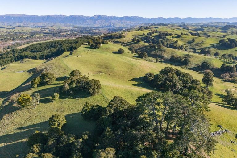 Photo of property in 613 Blackburn Road, Ongaonga, 4278