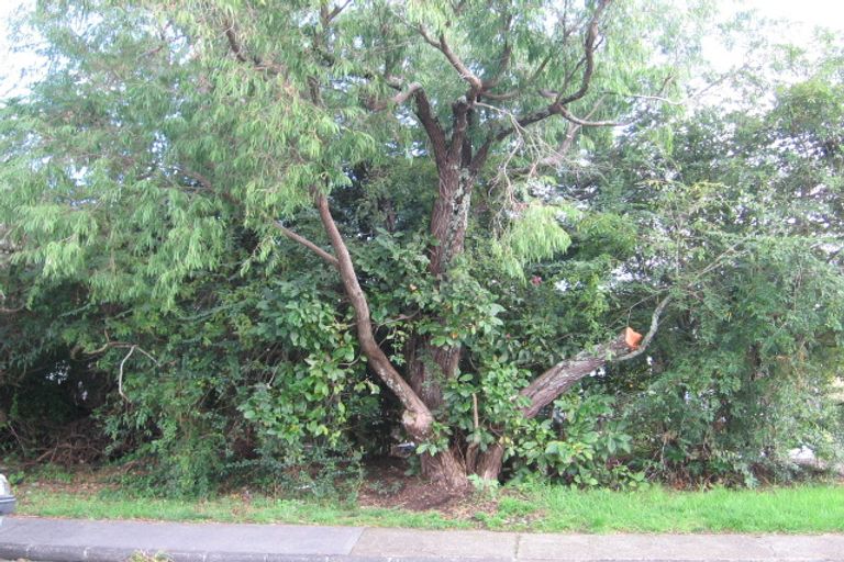 Photo of property in 53 Fairdene Avenue, Henderson, Auckland, 0610