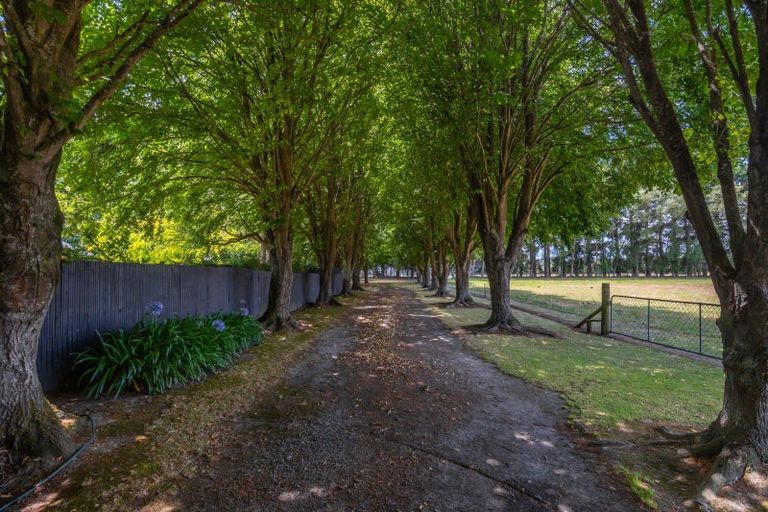 Photo of property in 448 Tancreds Road, Lincoln, Christchurch, 7672