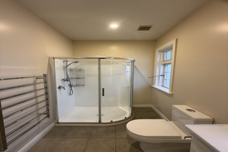 Photo of property in 150 The Ridgeway, Mornington, Wellington, 6021