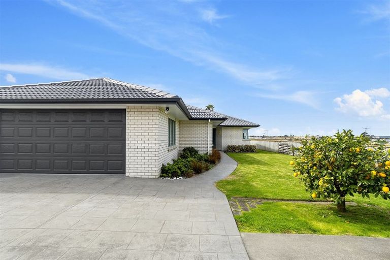Photo of property in 61 Plateau Heights, Mount Maunganui, 3116
